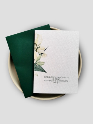 Zestaw Aquarel Green - Lily